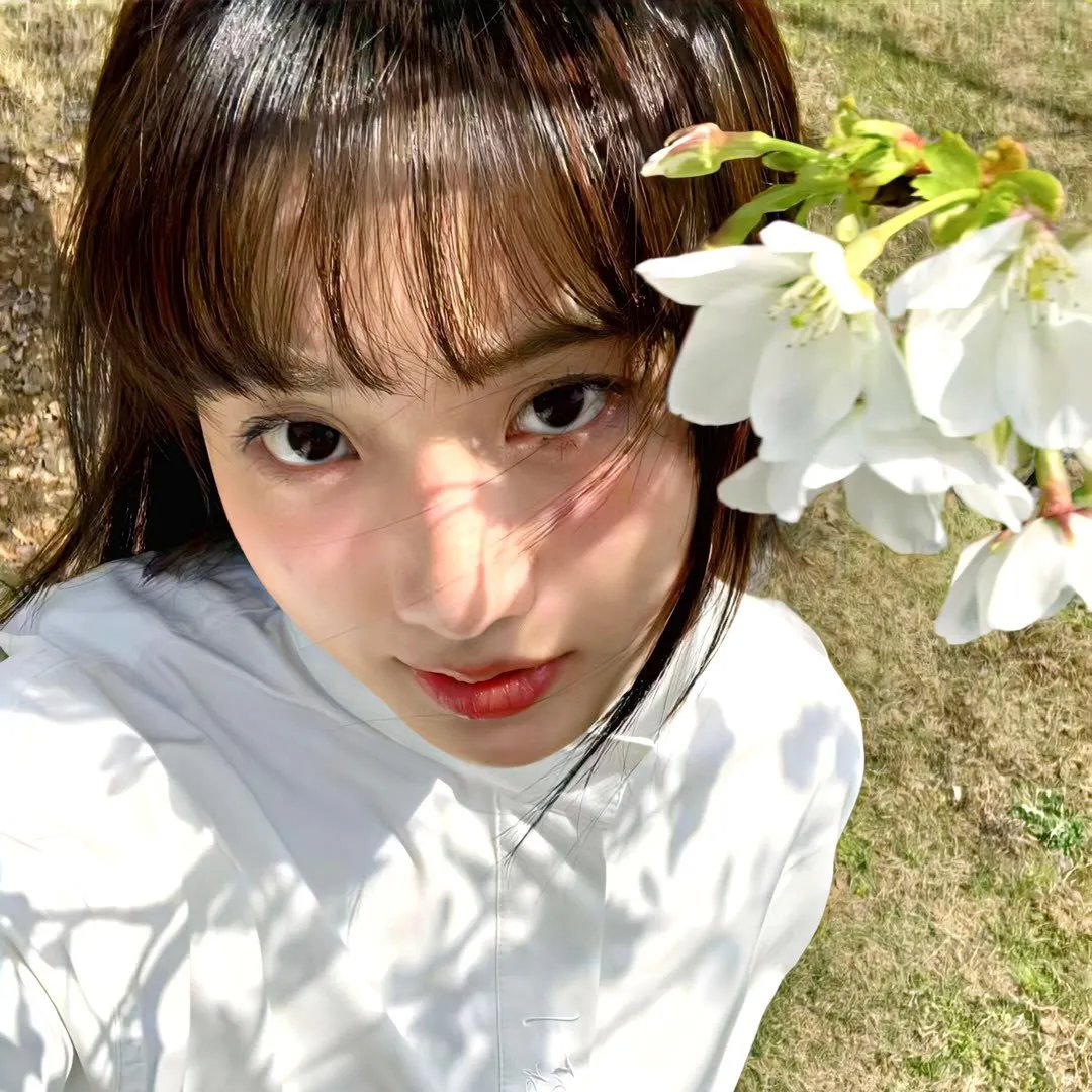 顾问